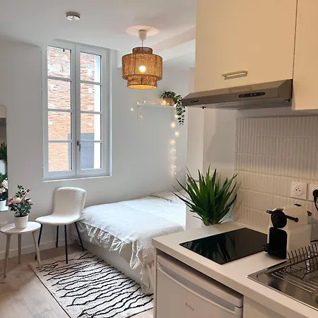 Apartamento Le Saphir *